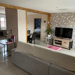 Appartements Centre Ville Colmar 4 Familles